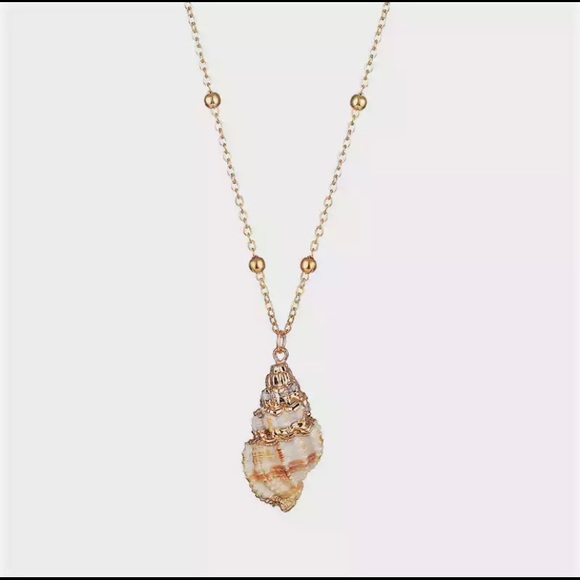 Jewelry - 14k Gold Dipped Beach Conch Shell